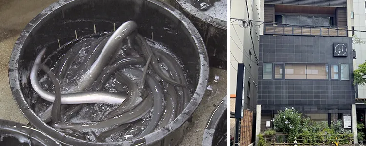 (左)鮮度が売り。夏場は毎日仕入れる、(右)すすきの駅からほど近くにある店舗