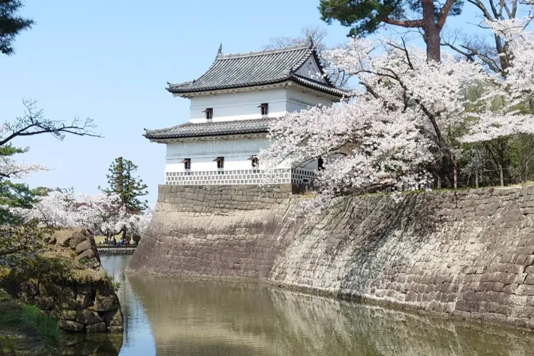 須藤利昭税理士事務所