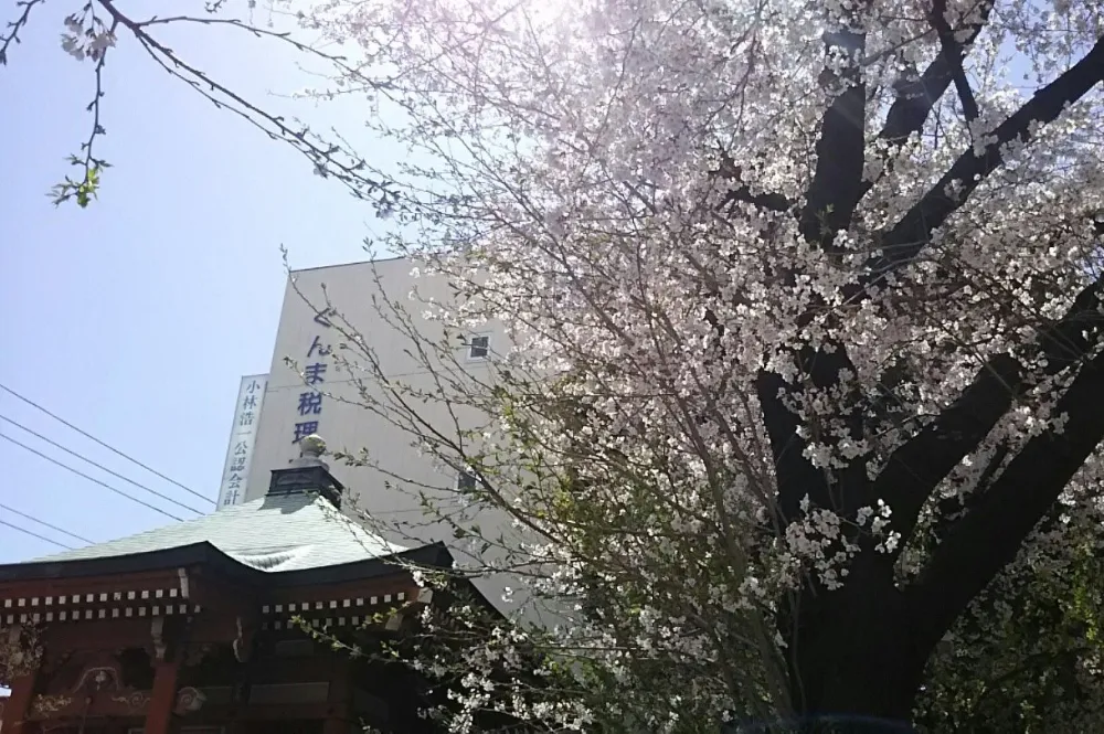 ぐんま税理士法人