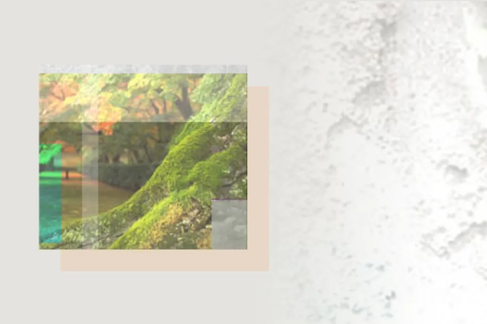 小田倉会計事務所