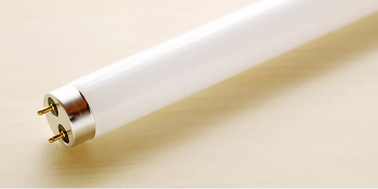 蛍光灯の輸出入禁止が中小企業へ与える影響