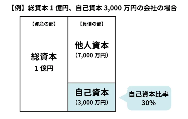 【例】総資本1億円、自己資本3,000万円の会社の場合を図示したもの