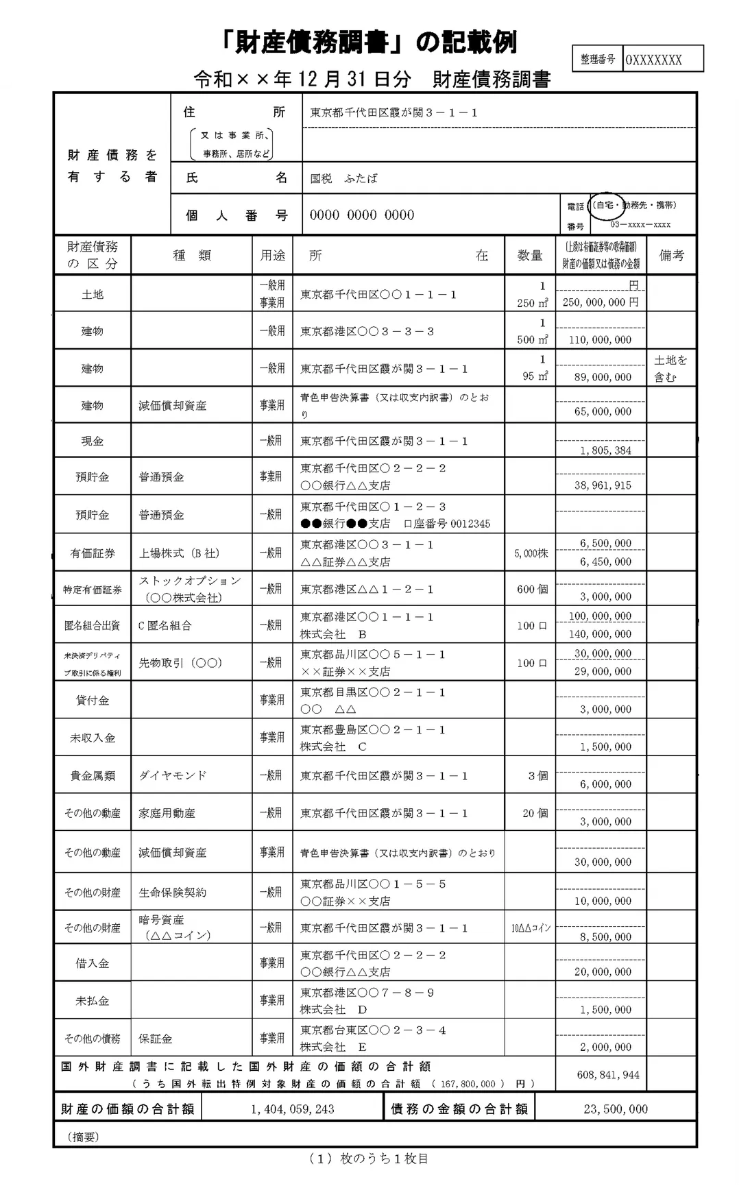 財産債務調書の記載例