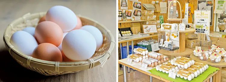 （左）「竹鶏たまご」のブランドで展開、（右）本社に併設された直営店舗