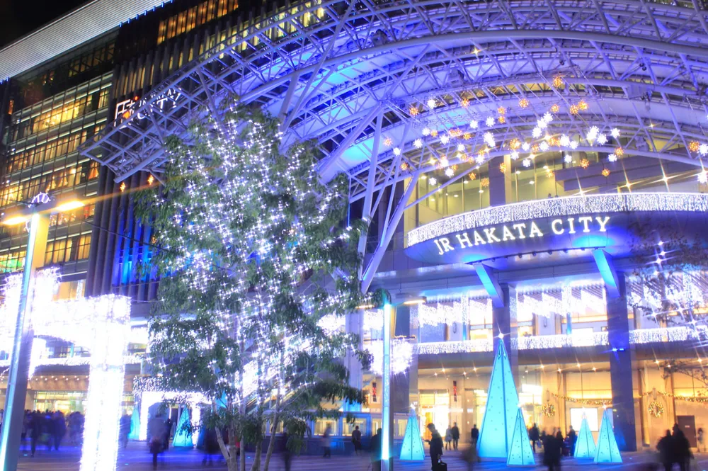 松本智税理士事務所