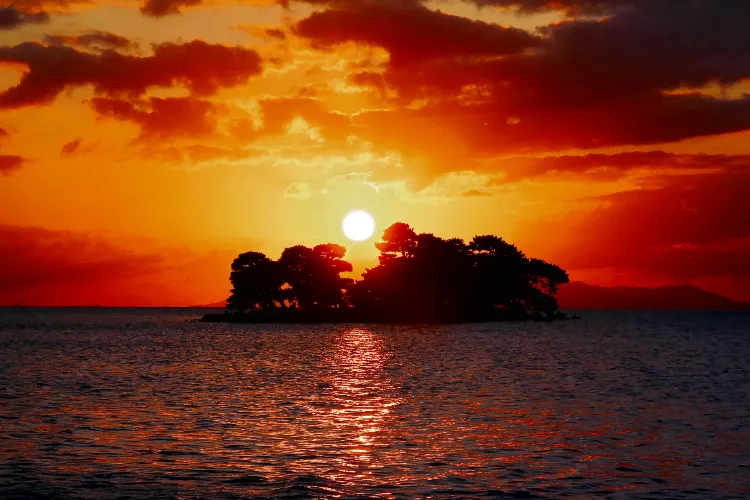 みつき税理士法人　松江事務所