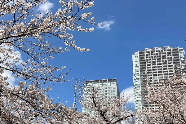 最後に、税理士を探している方にメッセージをお願いします。