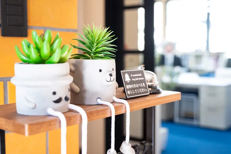 相続・税務の相談も承ります