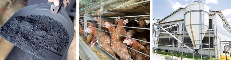 （左）竹炭は自社生産も手掛ける、（右）採卵鶏は最大で約４万羽飼育が可能