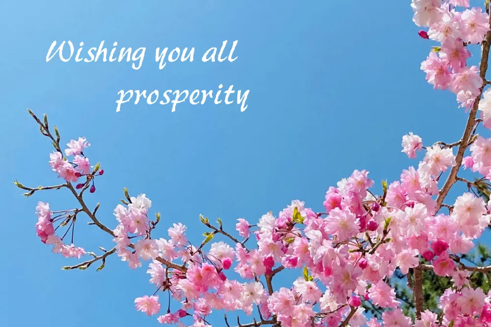 税理士法人神戸さくら会計