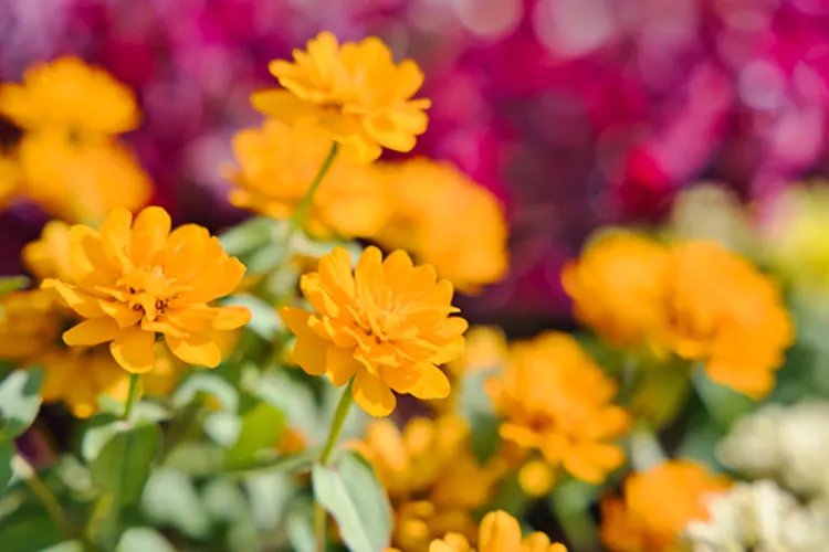 お客様の未来を見据えるサービス